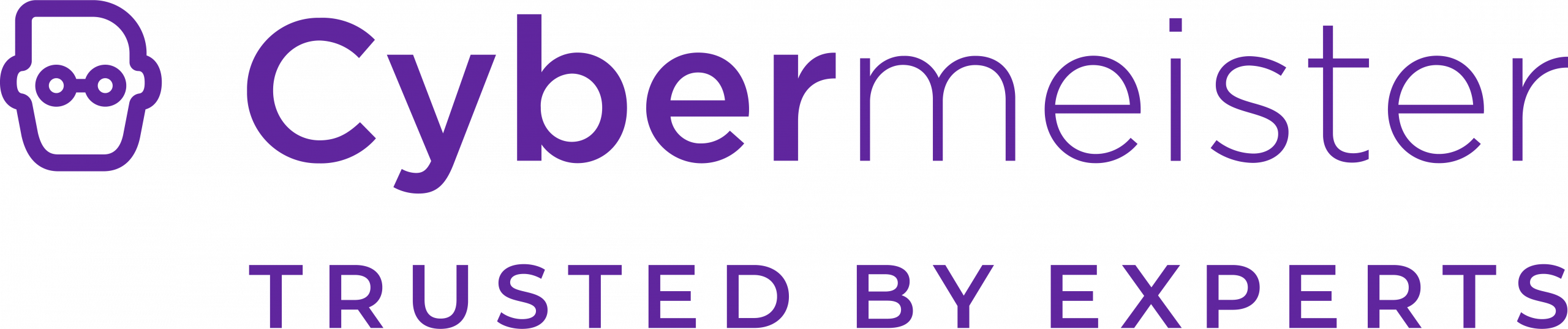 Cybermeister